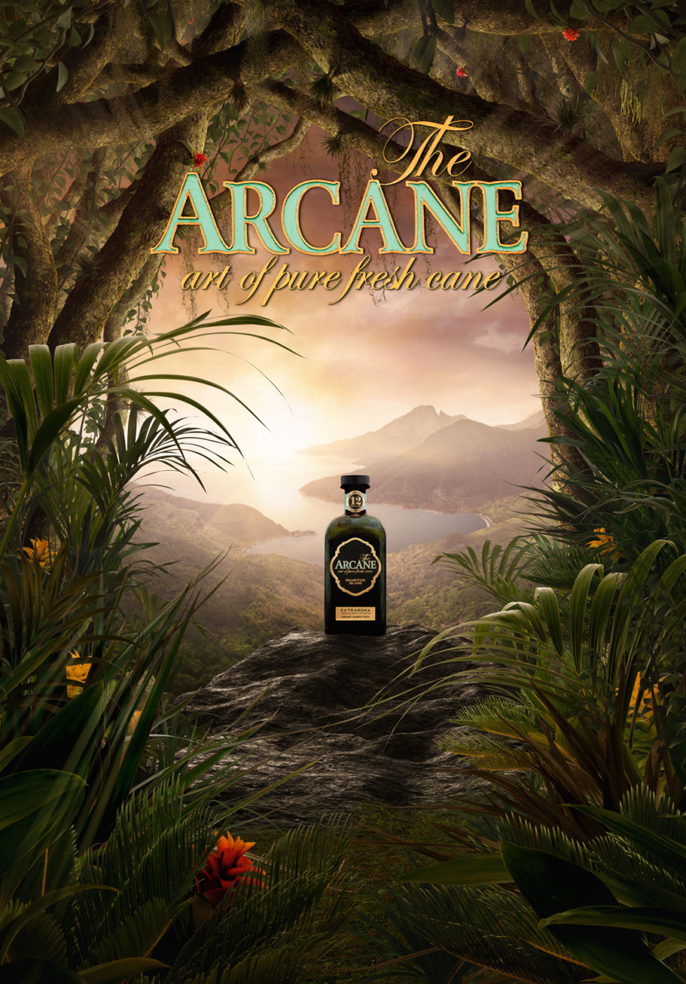 La découverte d'arcane - Timothée Vigouroux